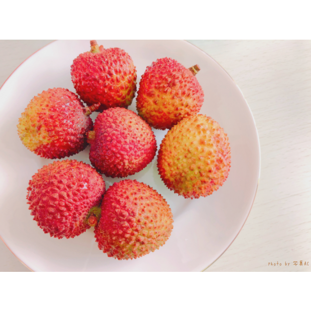 玉荷包荔枝ライチ(外銷日本)