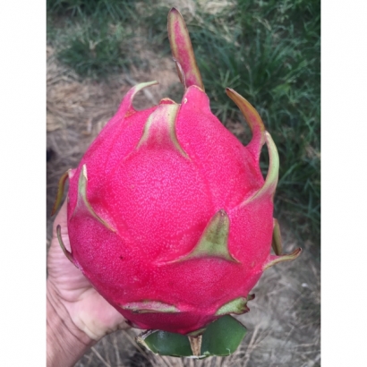 S__26771532.jpg S__26771532.jpg