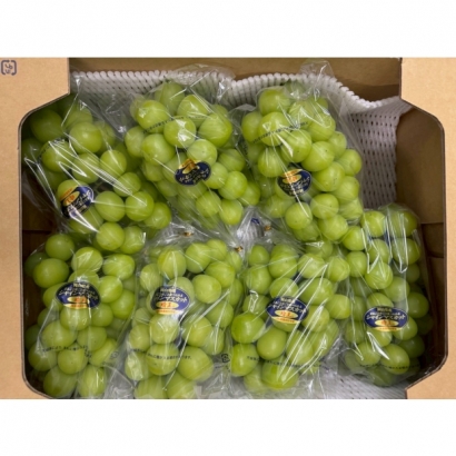 S__30123233_0.jpg S__30123233_0.jpg