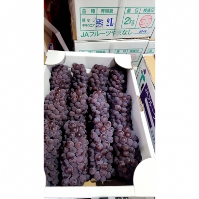 S__10920033_0.jpg S__10920033_0.jpg