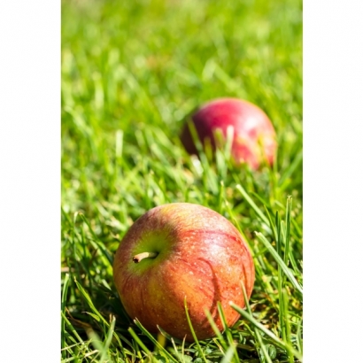 messageImage_1764566514922.jpg messageImage_1764566514922.jpg